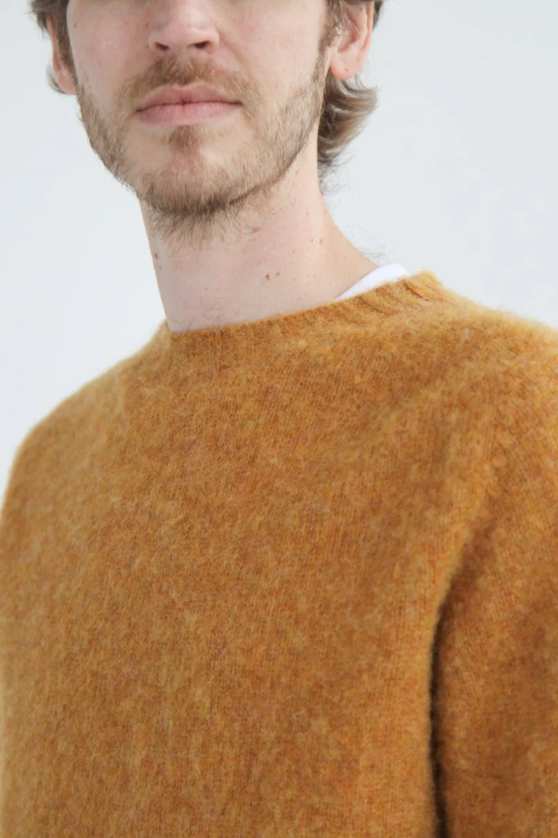 Half Dozen Shaggy Double-Brushed Crew (Cumin Orange) - Image 5
